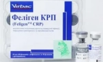 Feligen pro kočky - vakcína nejen pro prevenci kalicivinu